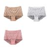 3 Pcs Lace Sexy Bikini Panties Daisy Mesh Underwear Plus Size Boyshorts Panties for Women Pack,Beige White Pink